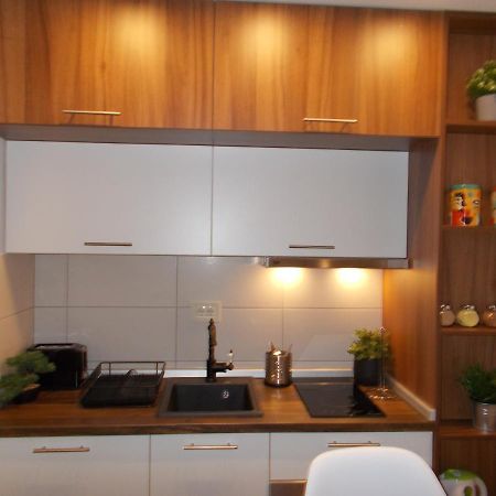 Casa Di Stefano Apartment & Spa Zlatibor Kültér fotó