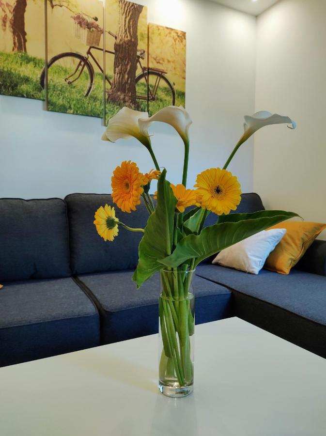 Casa Di Stefano Apartment & Spa Zlatibor Kültér fotó